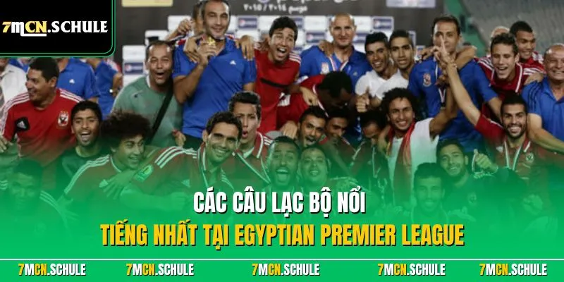 Egyptian Premier League (Ai Cập)| Giải Bóng Đá Số 1 Châu Phi 8 Các câu lạc bộ nổi tiếng nhất tại Egyptian Premier League